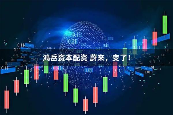 鸿岳资本配资 蔚来，变了！
