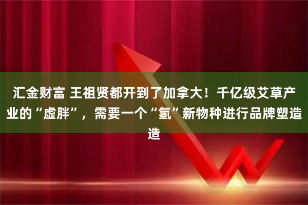 汇金财富 王祖贤都开到了加拿大！千亿级艾草产业的“虚胖”，需要一个“氢”新物种进行品牌塑造