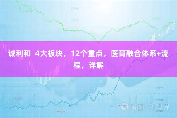 诚利和  4大板块，12个重点，医育融合体系+流程，详解